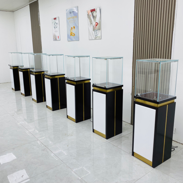 Glass Display Cabinet with Light Strip